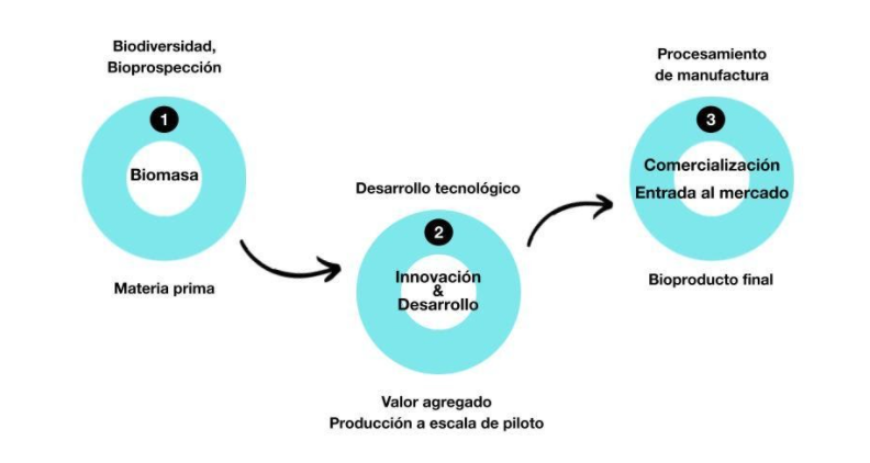 Hacia una hoja de ruta para el desarrollo de biotecnología azul en Argentina