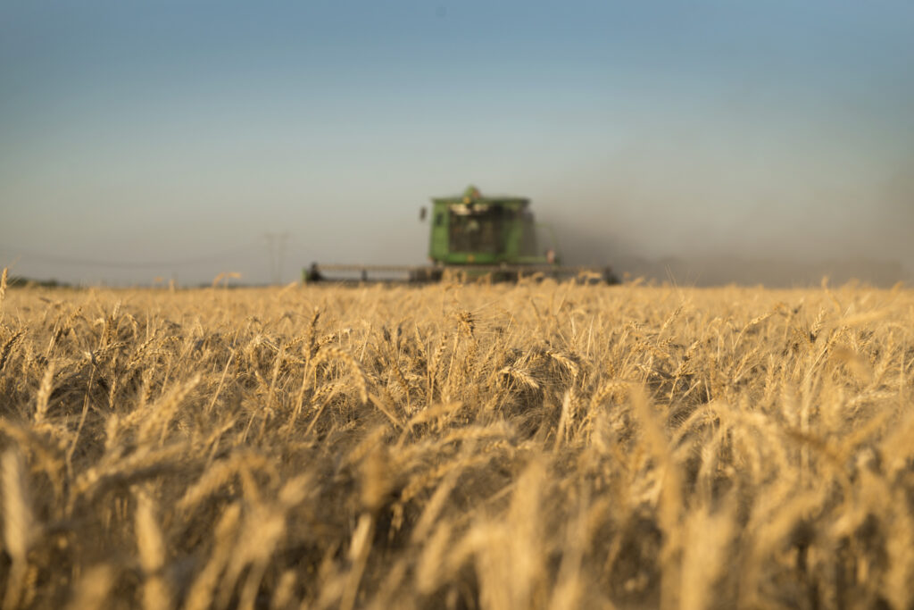 Oportunidades para el desarrollo de la Bioeconomía en Argentina