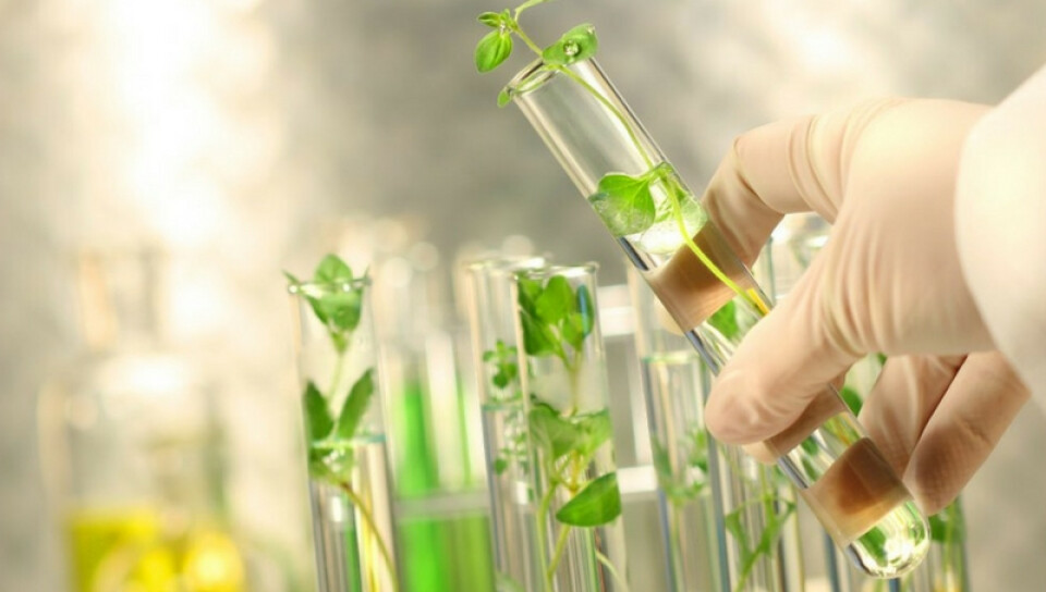 Articulación público-privada para la promoción de la bioeconomía en el NOA: el caso de Tucumán