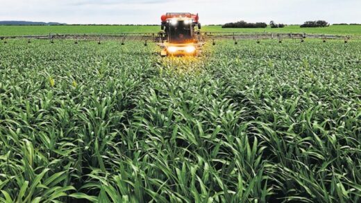 La liquidez que le falta al campo podría estar en la web3