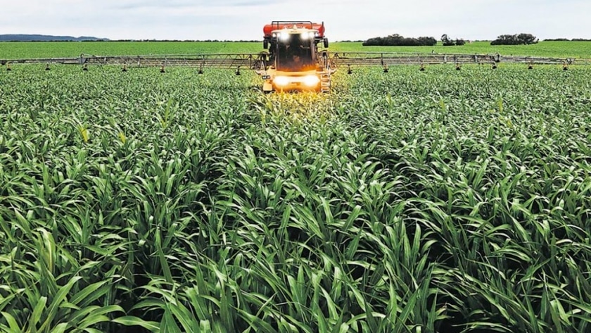 La liquidez que le falta al campo podría estar en la web3 La liquidez que le falta al campo podría estar en la web3